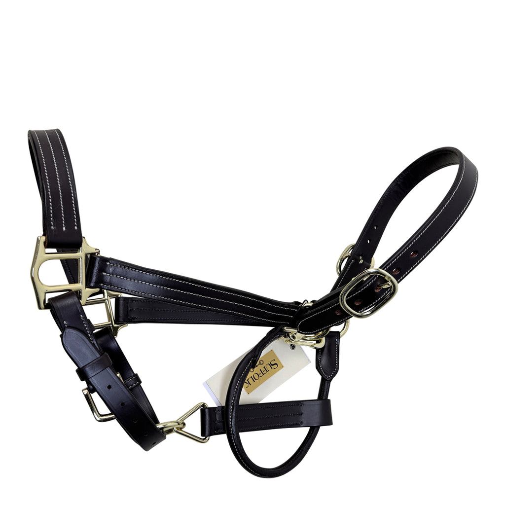 Suffolk by Dover Triple-Stitched Leather Halter in Havana