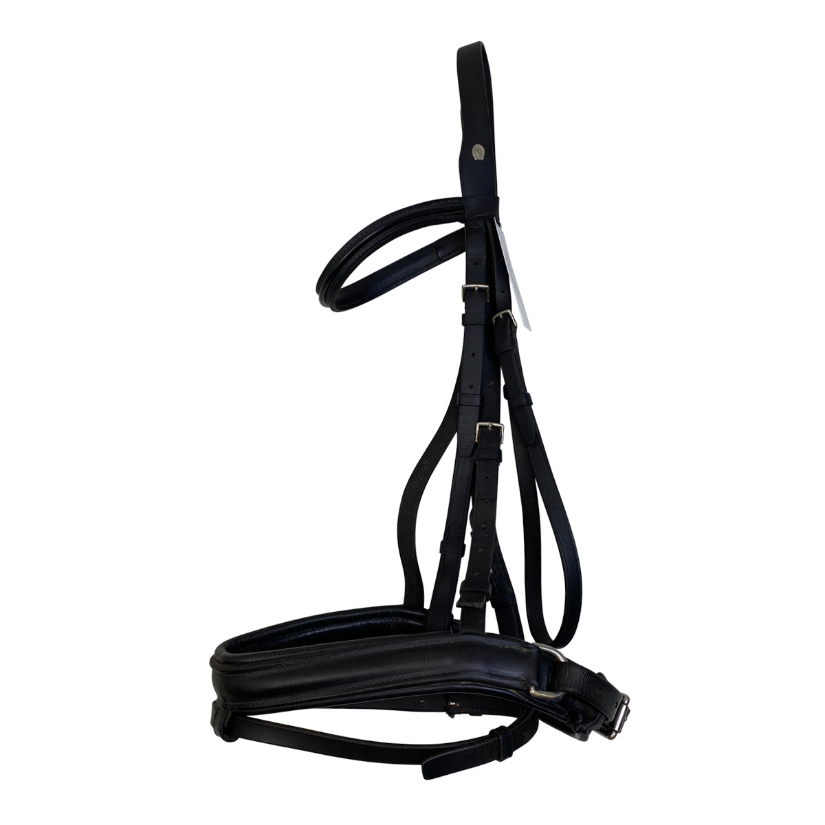 Otto Schumacher Flash Bridle w/ Webbed Reins in Black