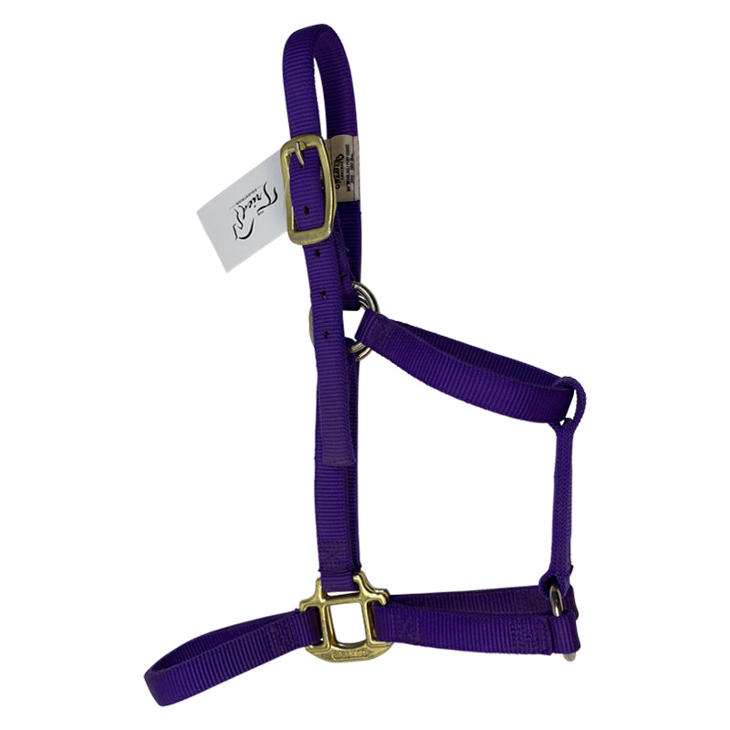 Weaver Leather Original Nylon Halter in Purple - Weanling/Pony