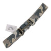 Blue Ribbon Elastic Bit Belt in Grey Camo