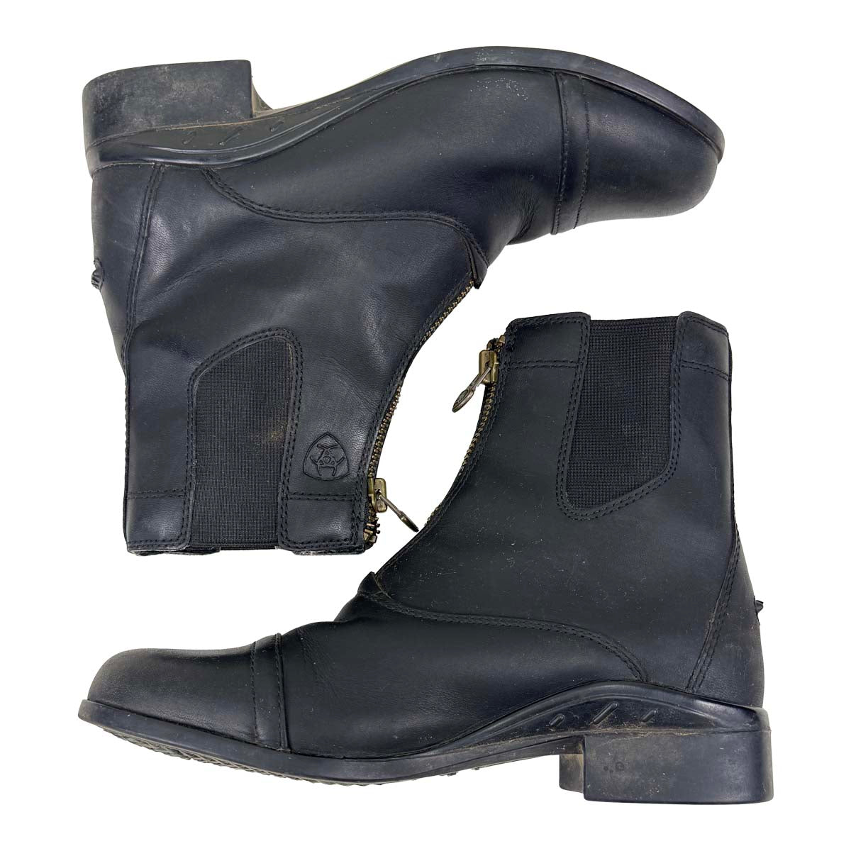 Ariat Scout Paddock Boots in Black 