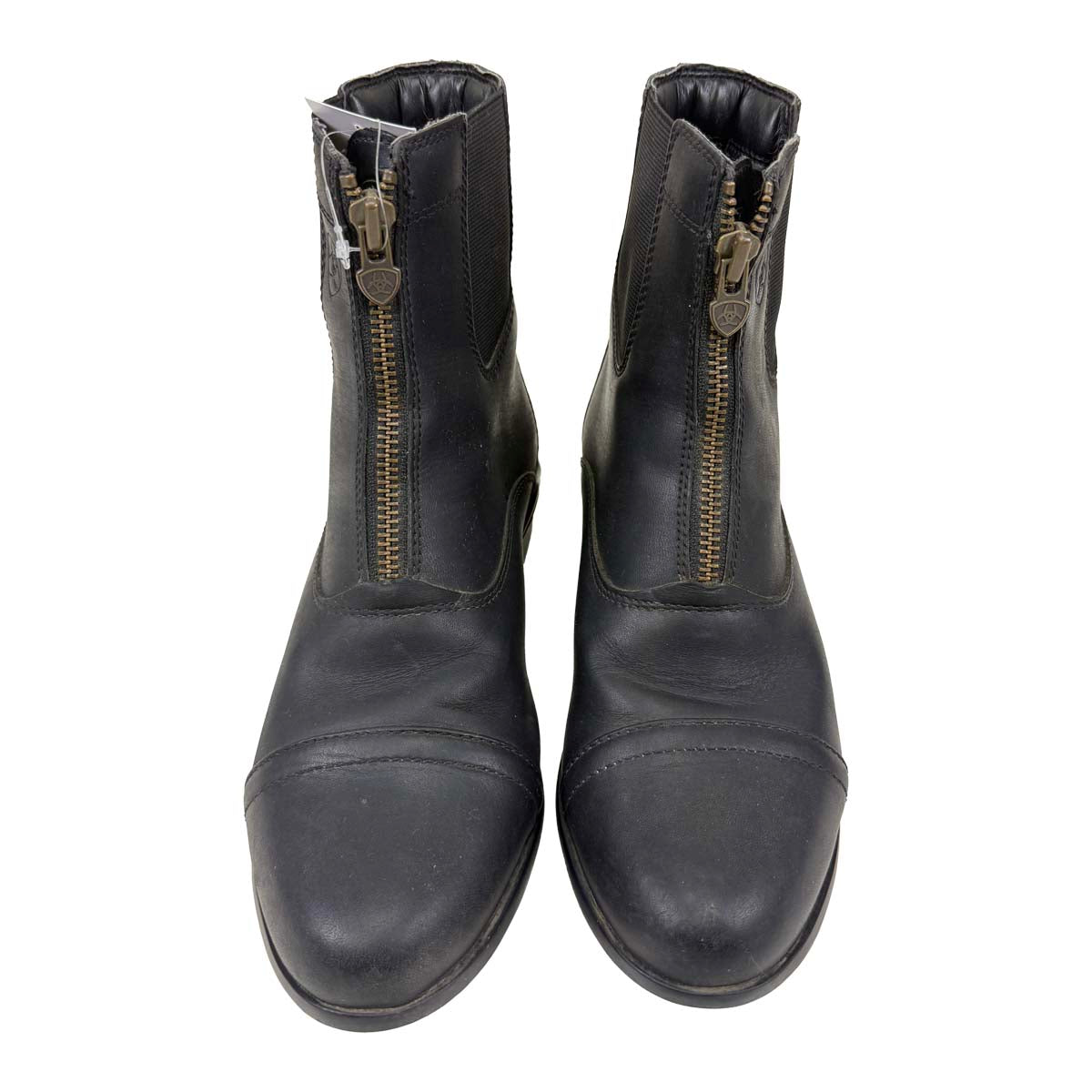 Ariat Scout Paddock Boots in Black 