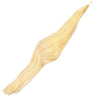 False Tail in White