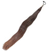 False Tail in Bay