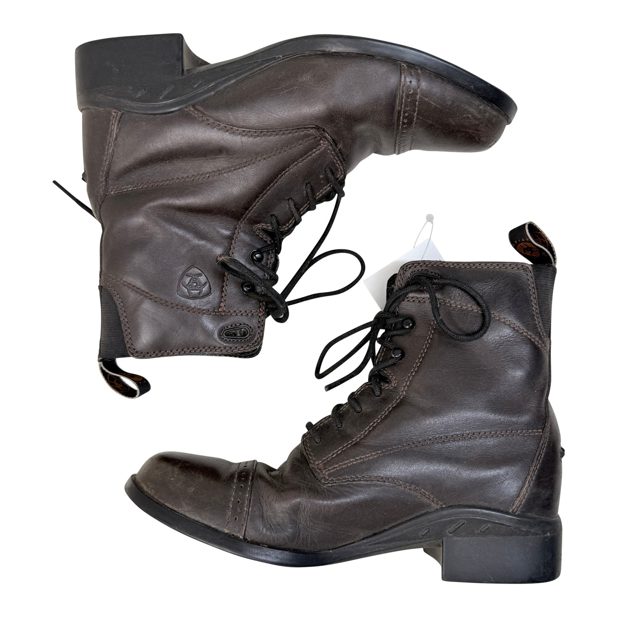 Ariat &#39;Scout&#39; Lace Up Paddock Boot in Dark Brown