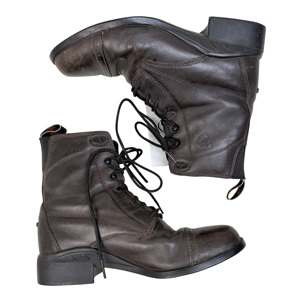 Ariat &#39;Scout&#39; Lace Up Paddock Boot in Dark Brown