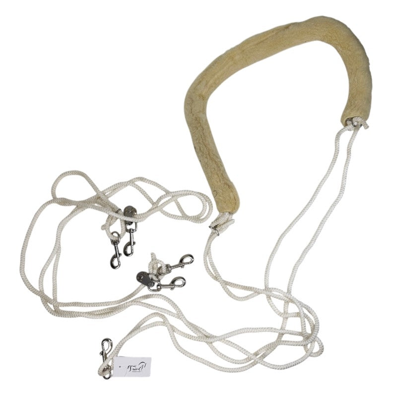 Pessoa Lunging System in White