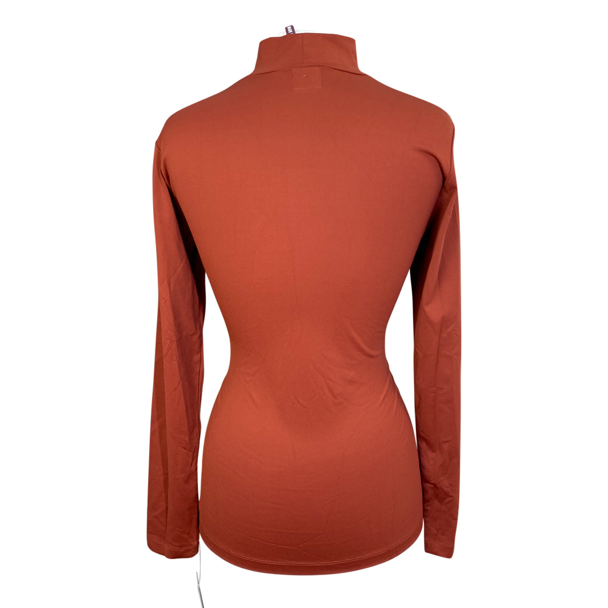 Animo 'Dullip' Tech Jersey Turtleneck  in Mandol