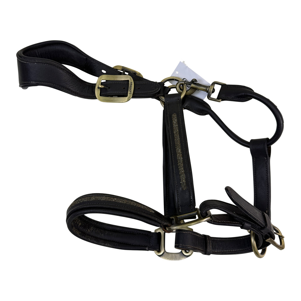 Lemieux Leather Crystal Halter in Brown