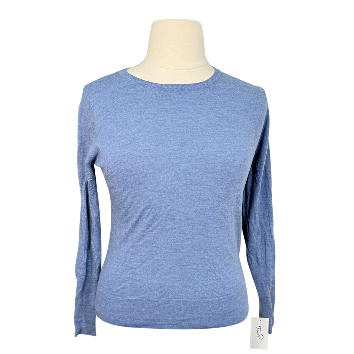 Noel Asmar Crew Neck Sweater in Light Blue/Striped Elbow Patches