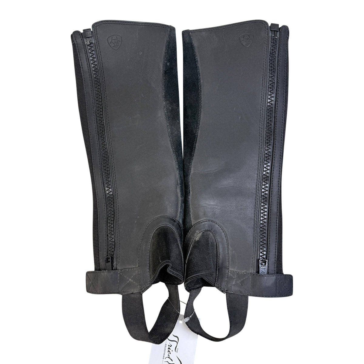 Ariat Scout Half Chaps in Black