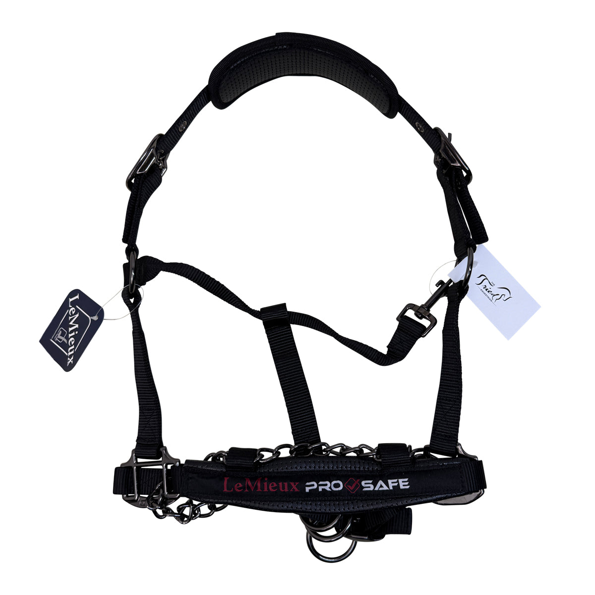 Lemieux Prosafe Halter in Black - Full