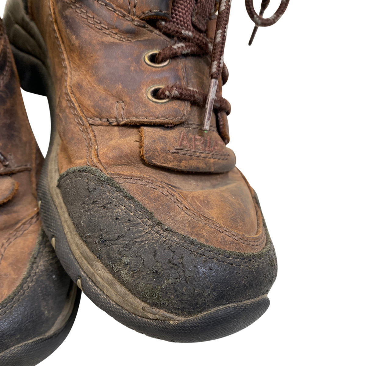 Ariat 'Terrain H20 Insulated' Boots in Brown
