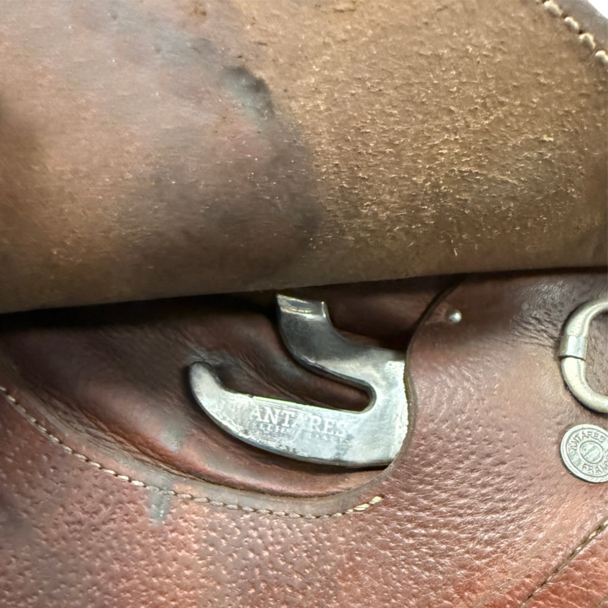 Antarès 2019 Connexion Jump Saddle in Brown
