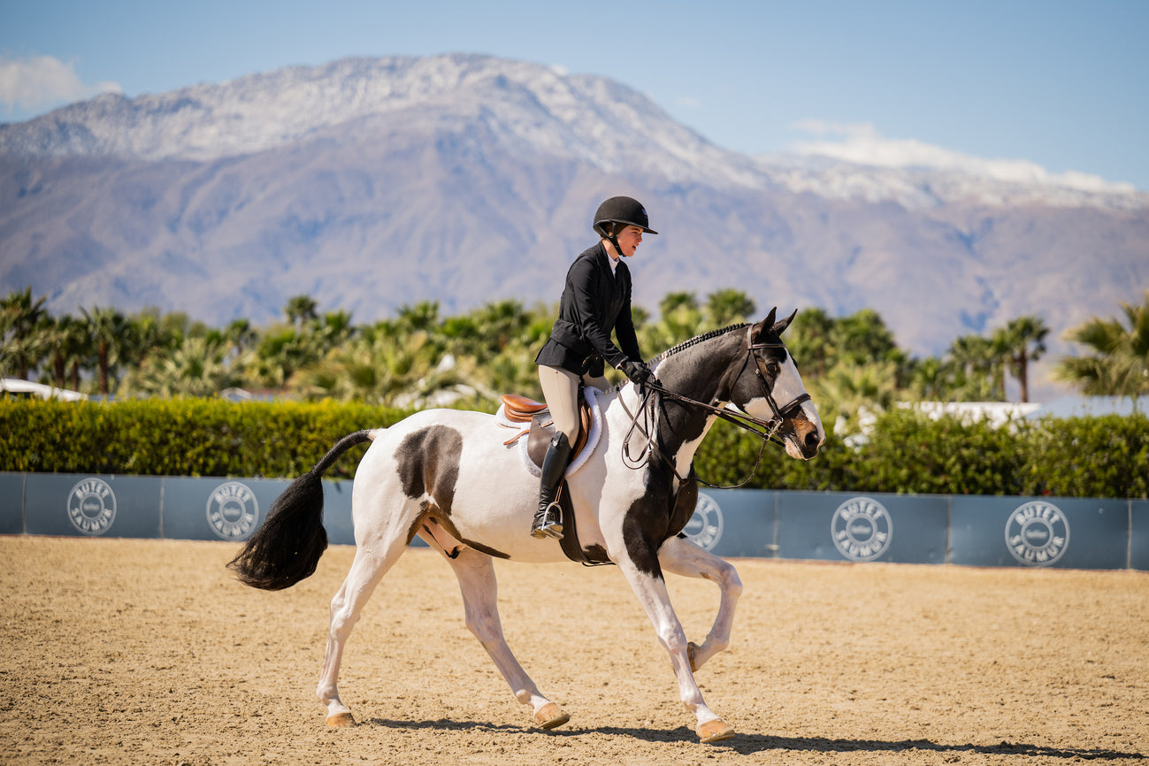 Asmar Equestrian 'Euro' Show Jacket in Navy - Women's Small โ The Tried ...