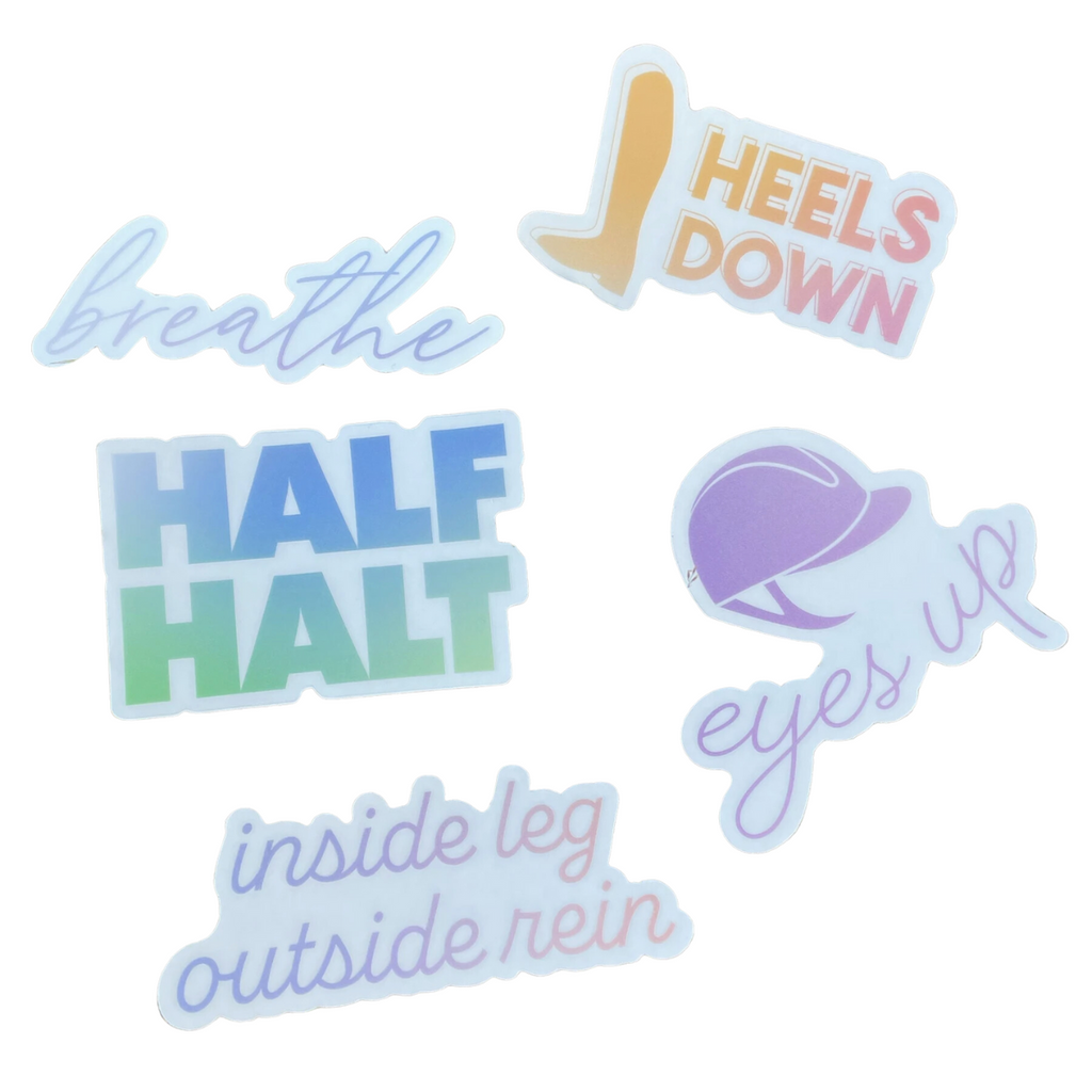 Dapplebay Trainer Sayings Sticker Pack