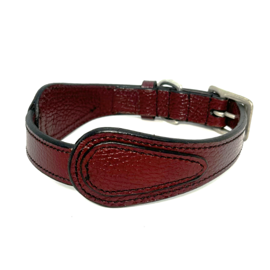 KL Select Shaped Dog Collar in Bordeaux - 12"