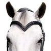 KL Select Black Oak V-Shaped Braided Browband in Black - Cob