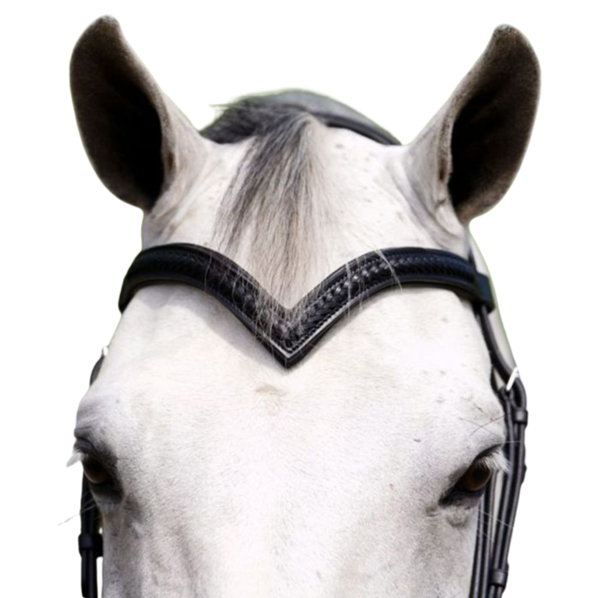 KL Select Black Oak V-Shaped Braided Browband in Black - Full