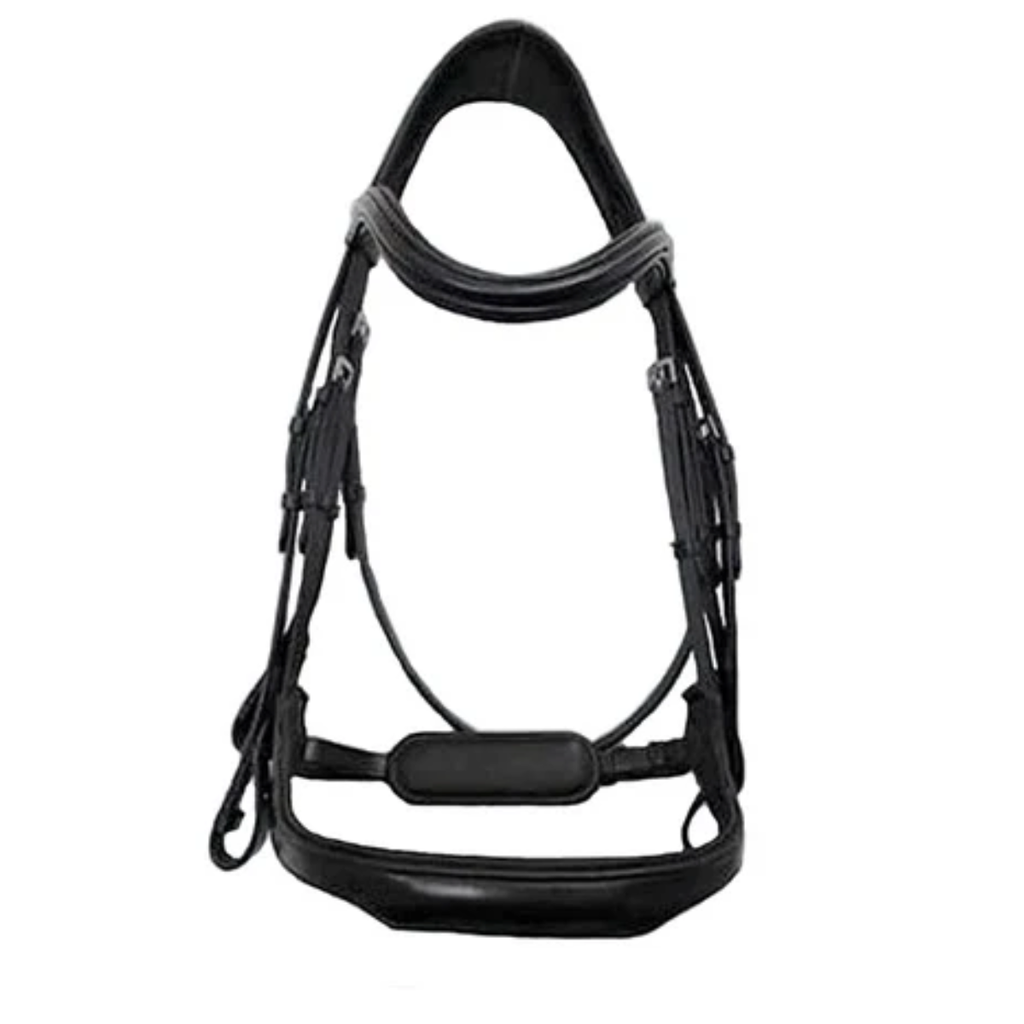 KL Select 'Arena' Weymouth Bridle in Black - Full