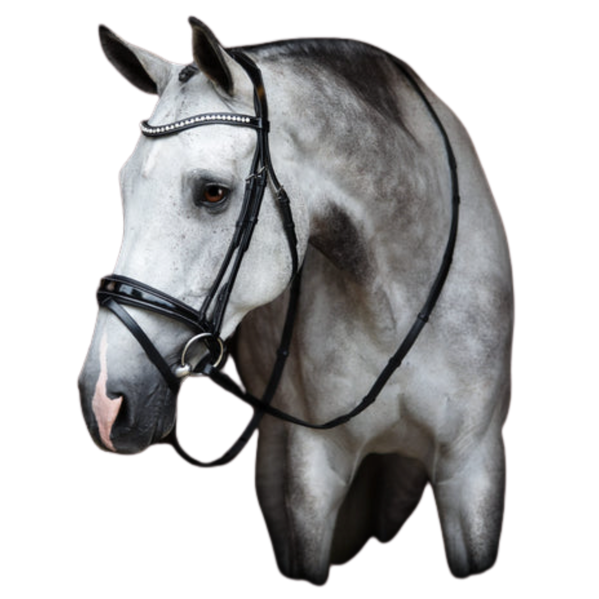 Red Barn by KL Select 'Pace' Patent Dressage Bridle in Black - Oversized