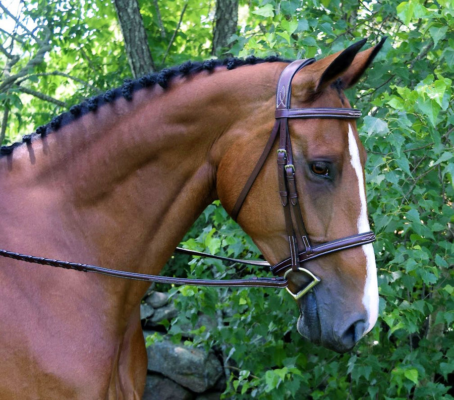 Red Barn 'Synergy' Fancy Stitched Bridle in Brown - Cob