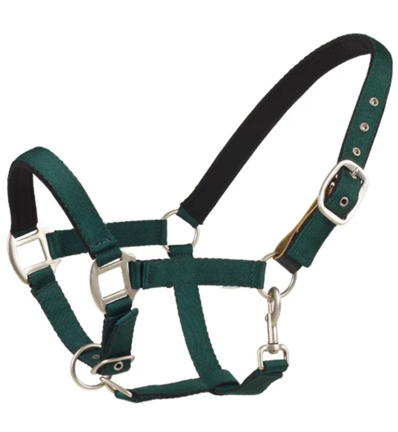 Centaur Solid Cushion Padded Breakaway Halter in Hunter Green