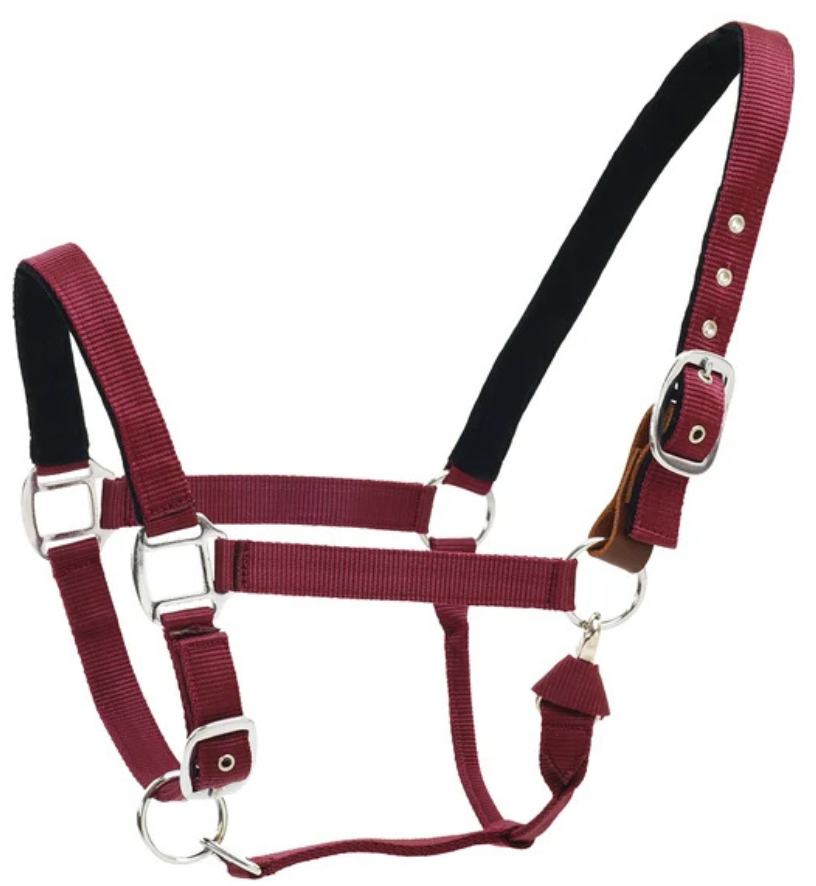 Centaur Solid Cushion Padded Breakaway Halter in Burgundy