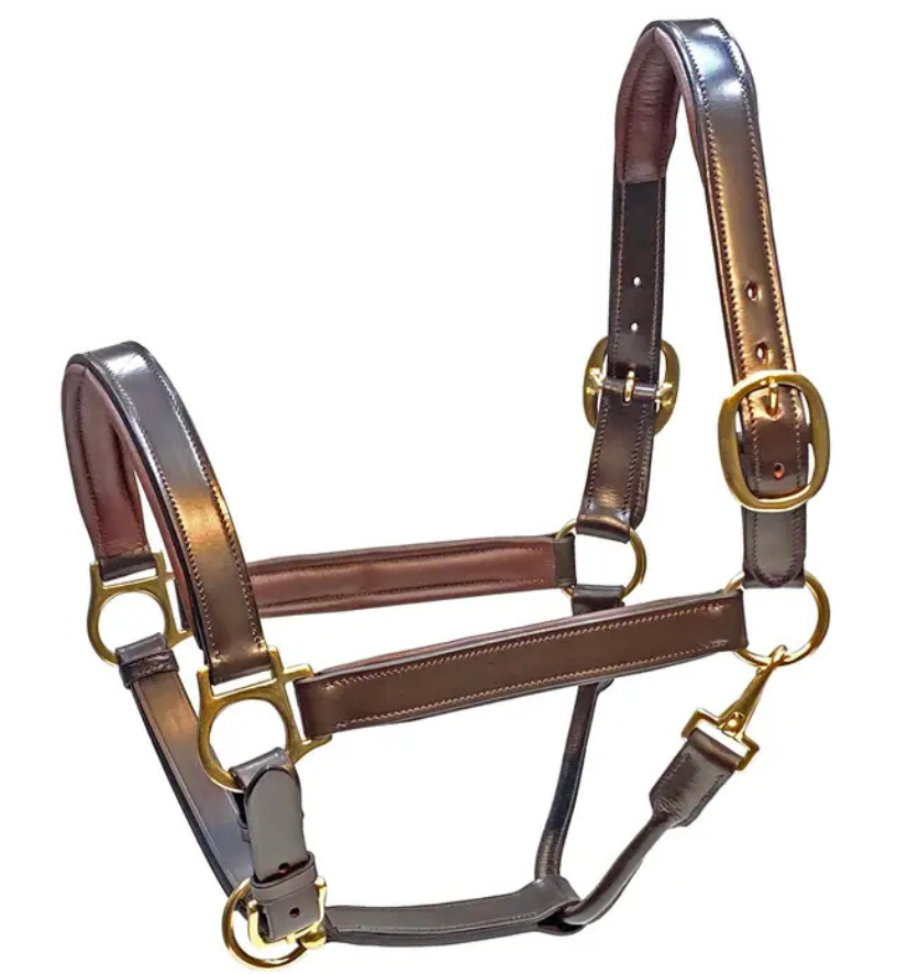 Blakely Premium Padded Leather Halter in Brown