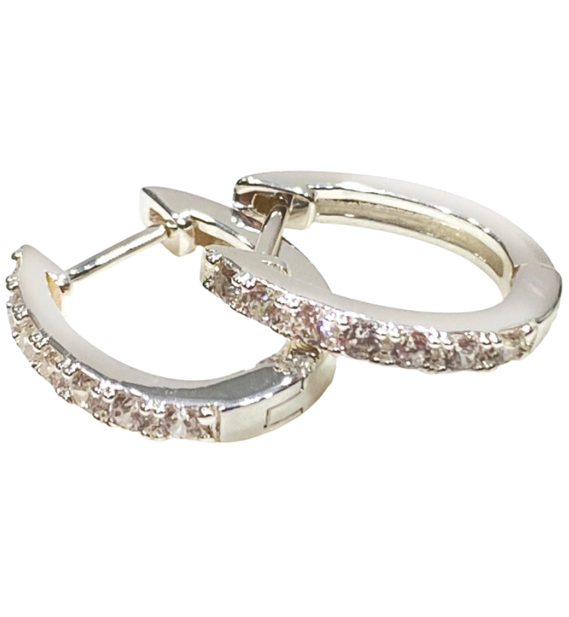 Horseshoe Hinge Earrings in Silver