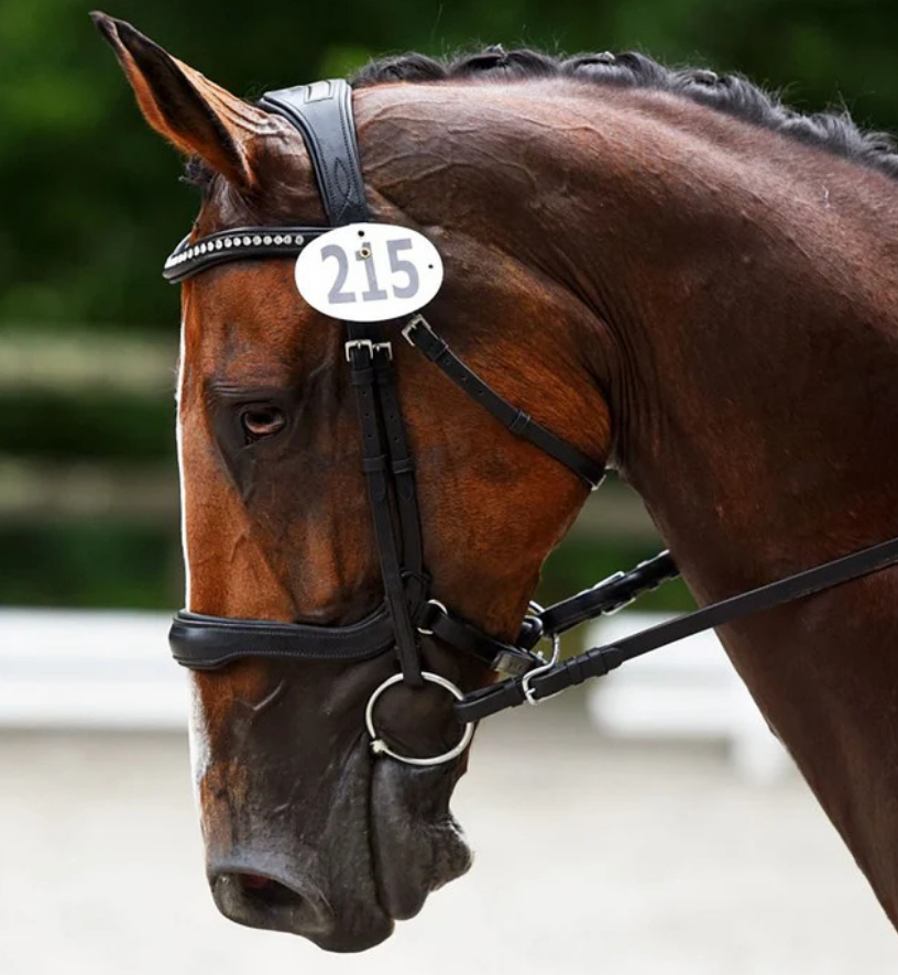 KL Select 'Arena' Bridle in Black