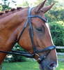 KL Select 'Arena Flash' Bridle in Black