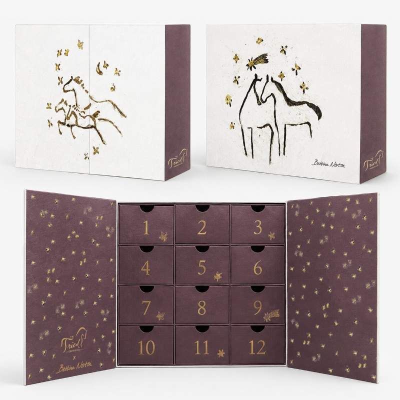 'Young Rider' Limited Edition 2026 Advent Calendar
