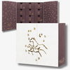 'Young Rider' Limited Edition 2026 Advent Calendar