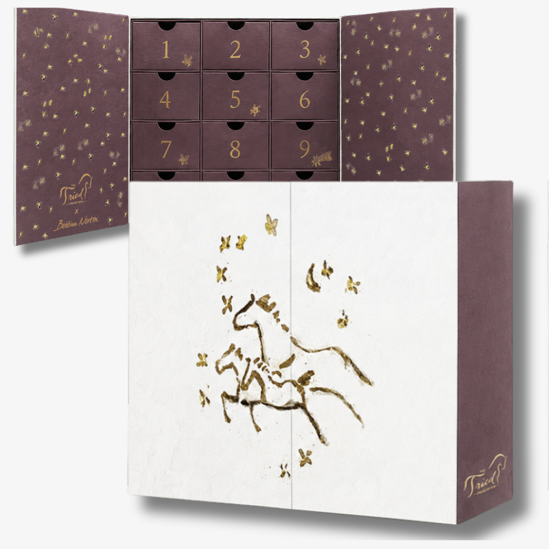 'Young Rider' Limited Edition 2026 Advent Calendar