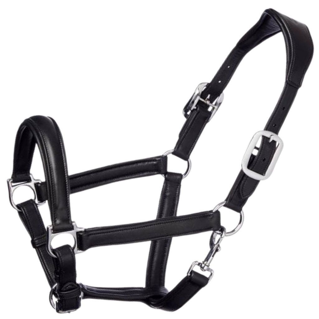 LeMieux 'Anatomical' Halter in Black Full