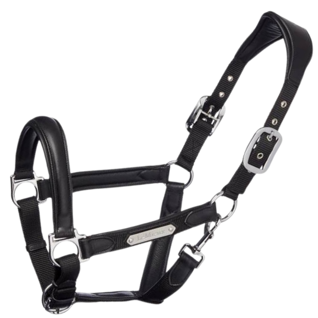 LeMieux 'Capella' Halter in Black Cob