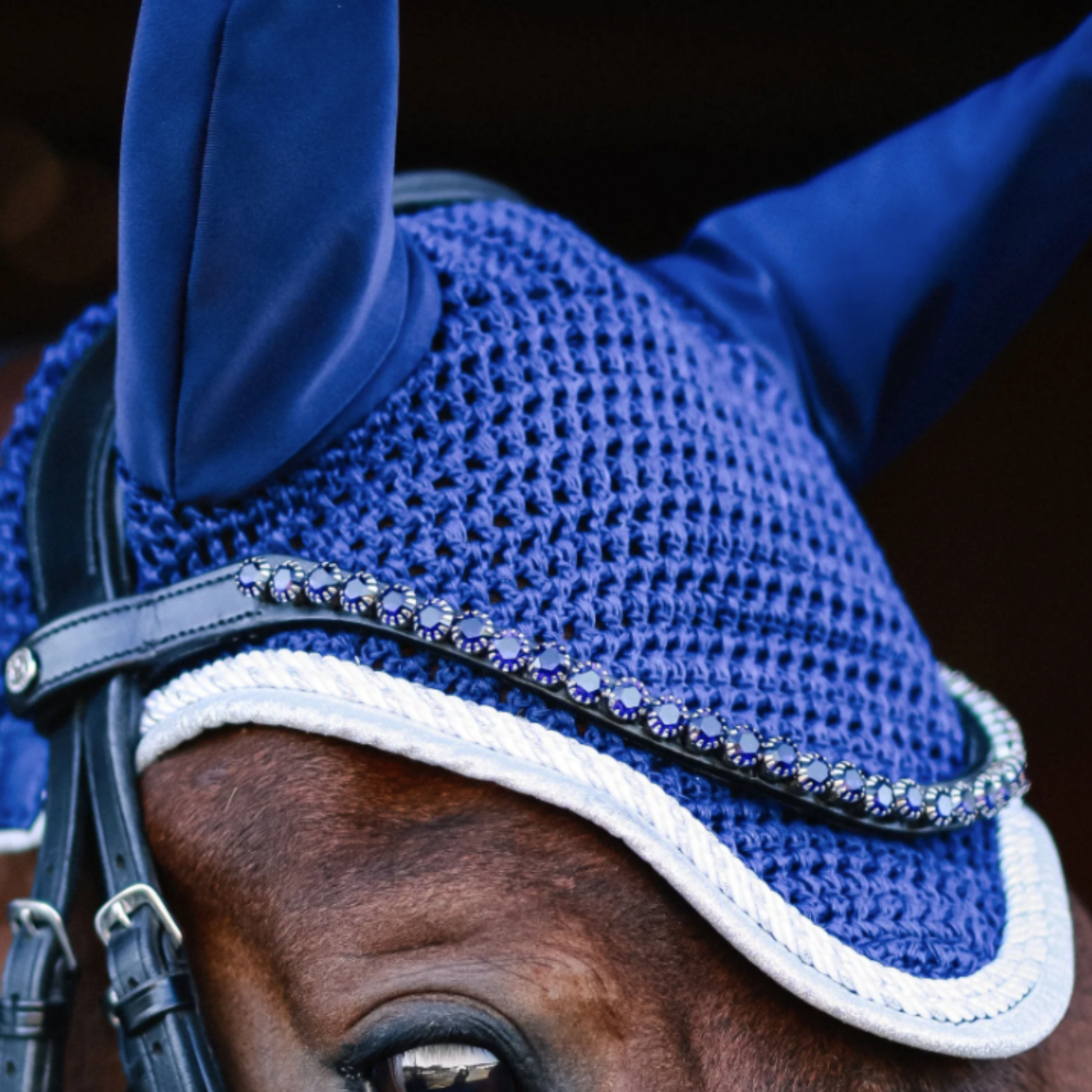 Dapplebay 'DB Sport' Crystal Browband in Dark Indigo/Midnight  - Cob