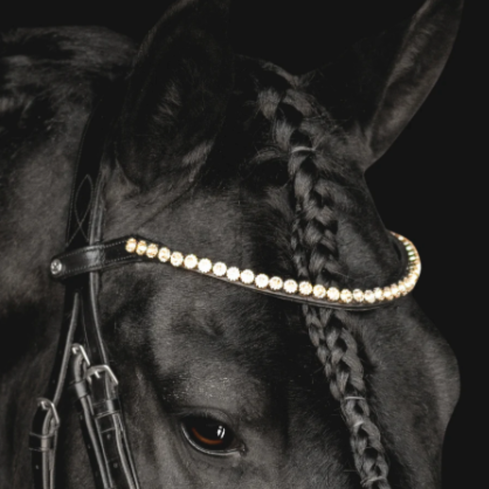 Dapplebay 'DB Sport' Crystal Browband in Gold Quartz - Cob
