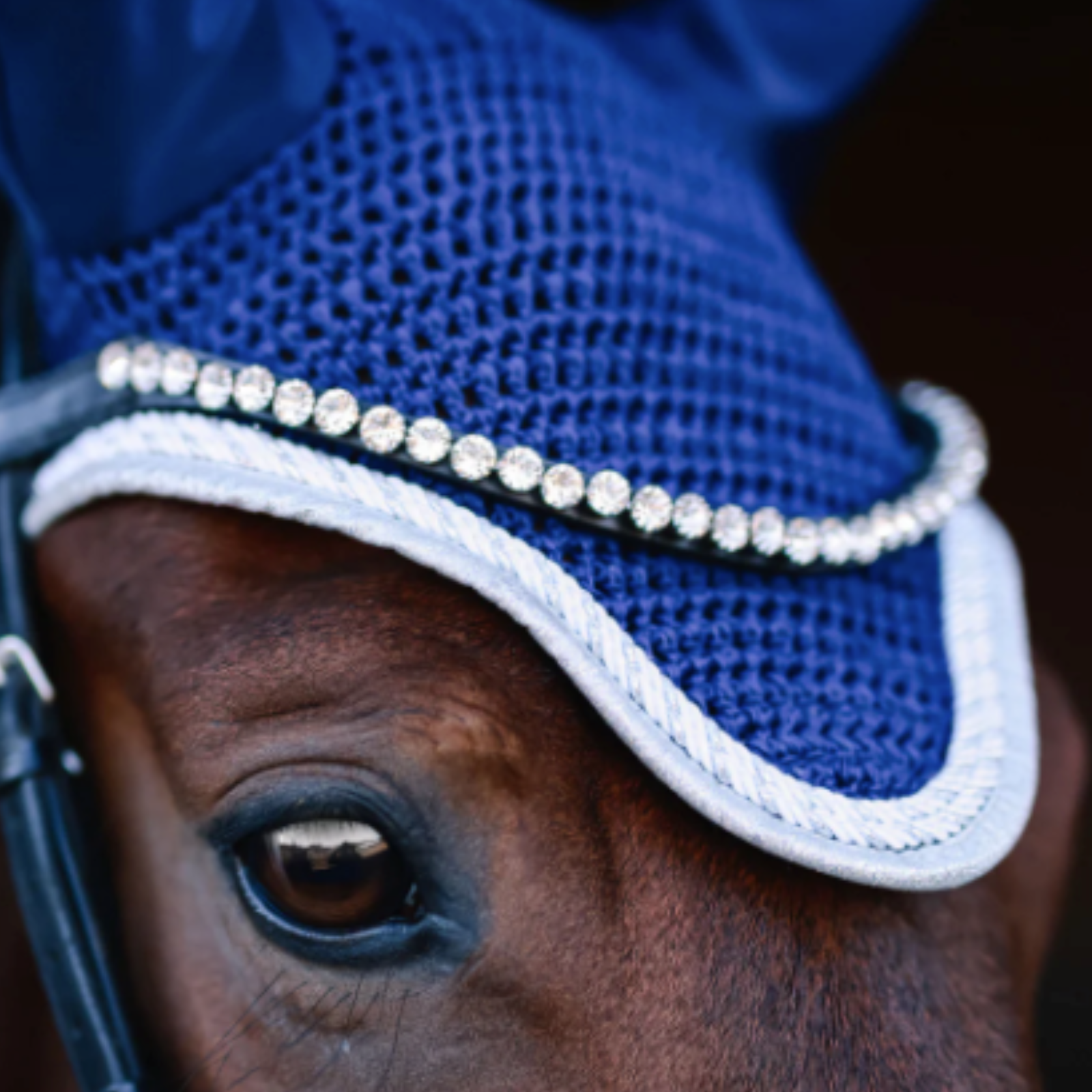 Dapplebay 'DB Sport' Crystal Browband in Diamond - Full