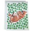 Lucky Horse Clover Card