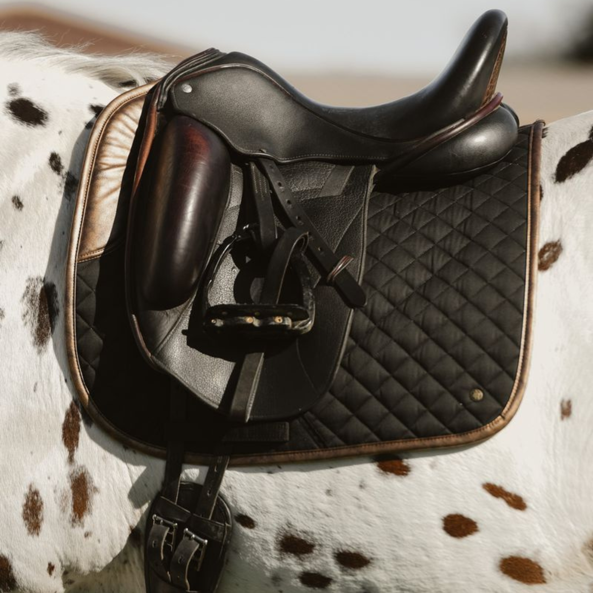 Sixteen Cypress Dressage Saddle Pad in Black &amp; Gold Leaf - Full