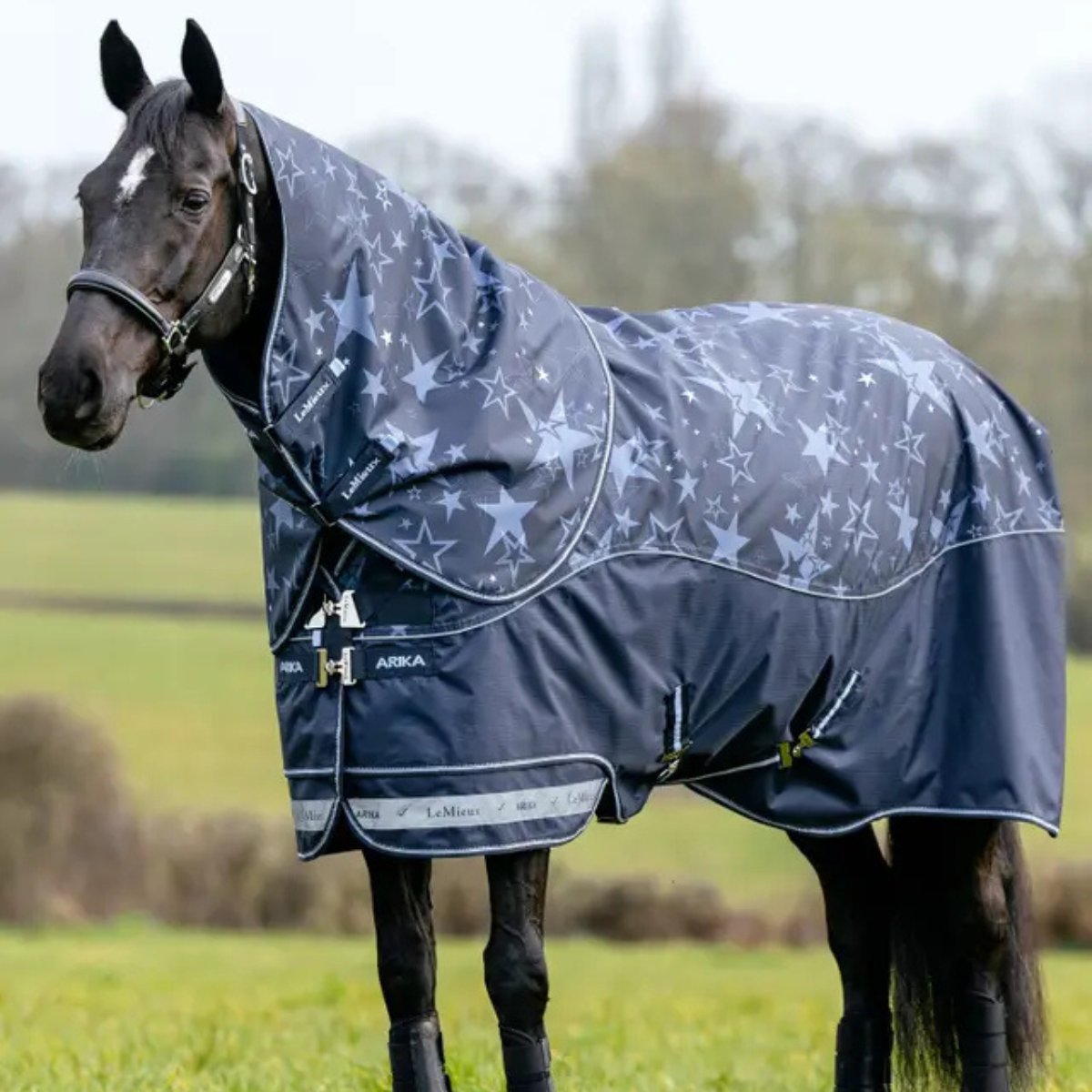 LeMieux 'Arika Star' 100g Turnout Blanket in Navy