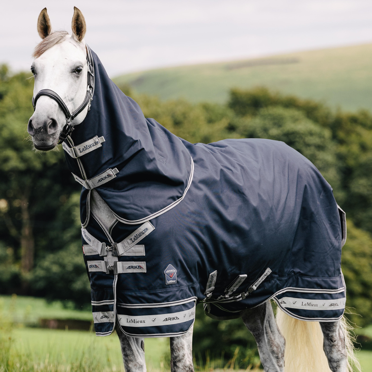 LeMieux 'Arika' 50g Storm-Tek Blanket in Navy 