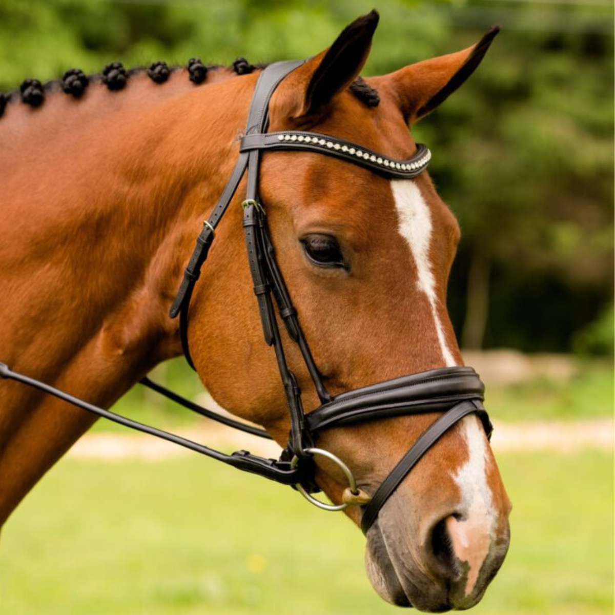 KL Select 'Flexion' Dressage Bridle in Black 