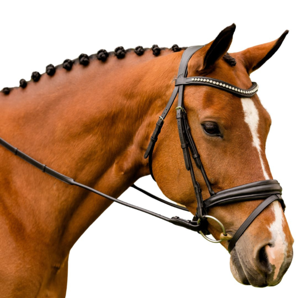 KL Select 'Flexion' Rolled Bridle in Black - Oversized