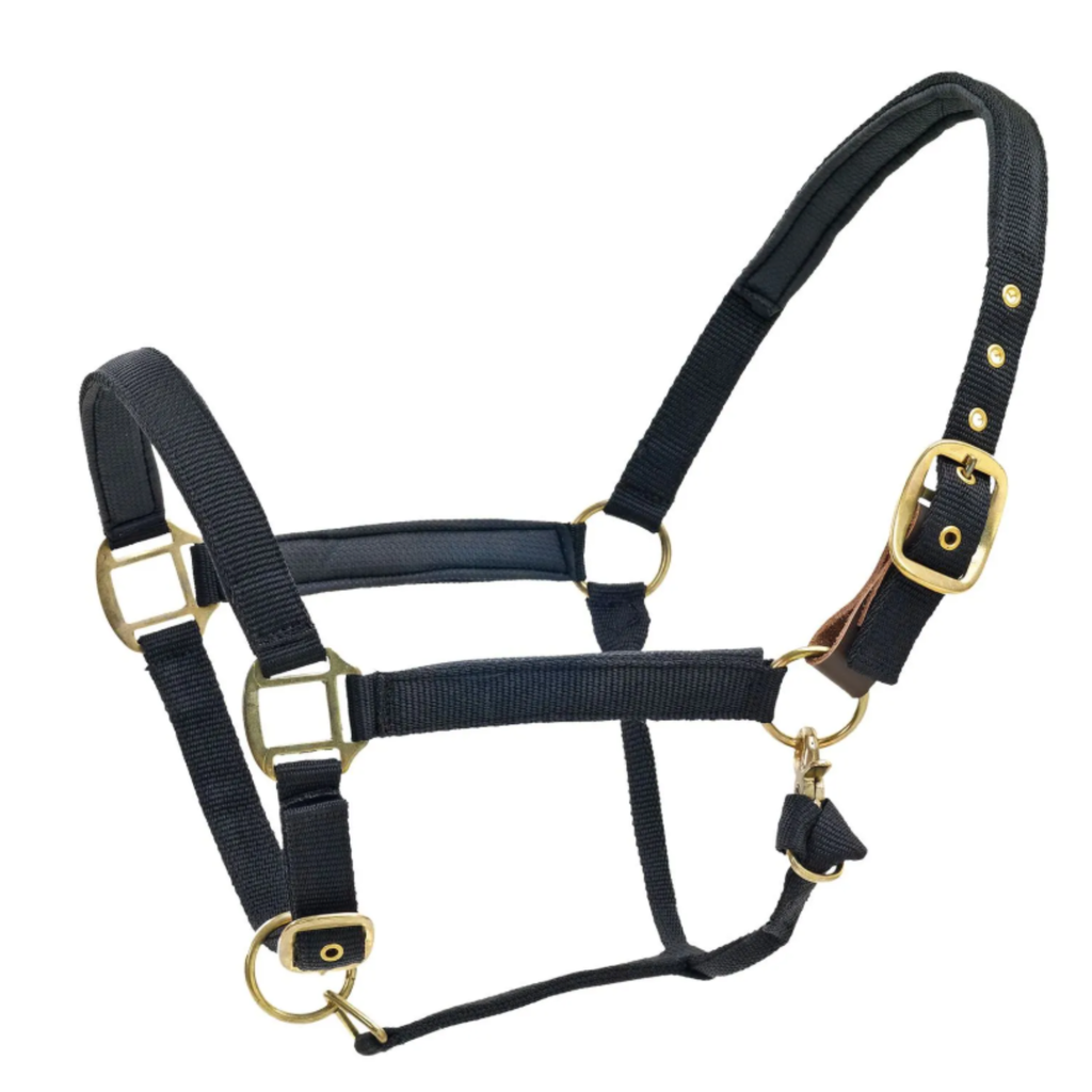 Centaur Super Comfort Breakaway Halter in Black - Oversized