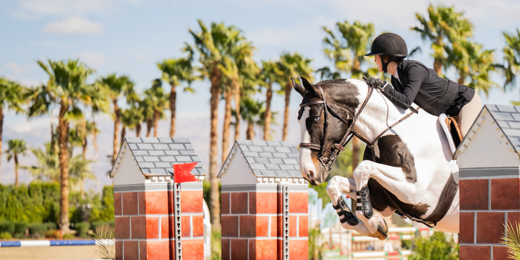 Beautiful paint equitation horsej umps in horse show with show rider in jacket. Horse wears EquiFit boots.
