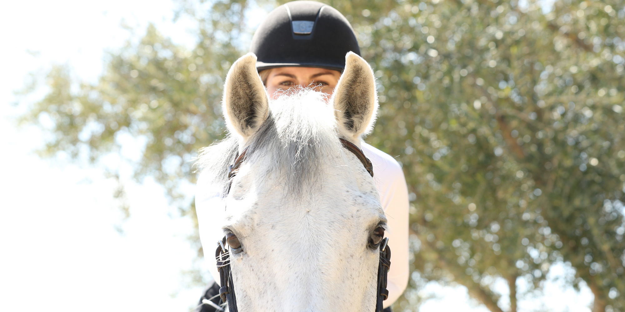 Discounted Tack and Equestrian Riding Apparel The Tried Equestrian