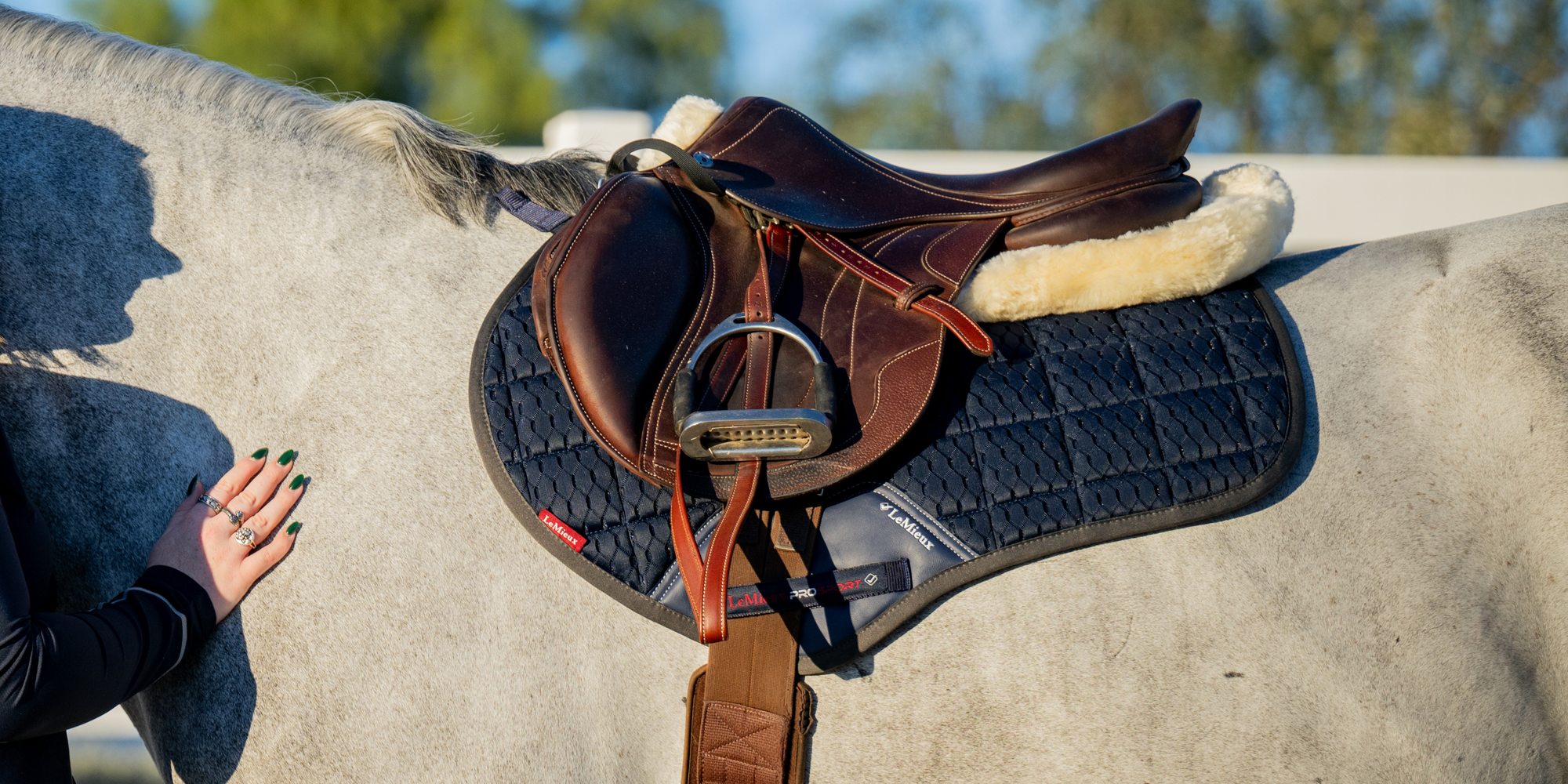 A close-up of a white horse wearing a saddle with a woman's hand laying on the horse.